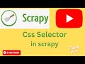 Mastering CSS Selectors for Efficient Data Extraction in scrapy