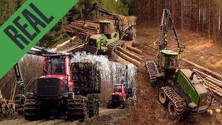 XXL Logging with JOHN DEERE 1270G and 4 Forwarders! 🌲 [HD]