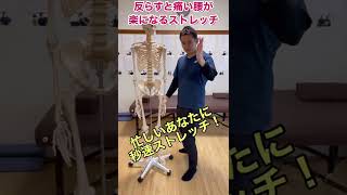 反らすと腰が痛い方へ！腰痛改善ストレッチ#腰痛改善 #腰痛 #ストレッチ