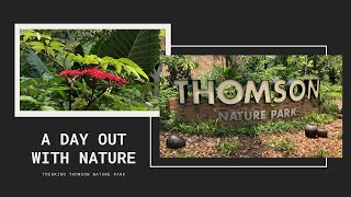 Things to Do in Singapore | Relax and Indulge in Nature | Thomson Nature Park