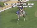 クロフネ 毎日杯 g3