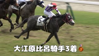 【現地撮影】2024年5月19日新潟競馬5Rズイウンゴサイ\u0026大江原比呂騎手3着