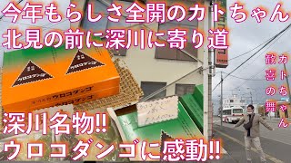 #440【初冬の北見・小清水・中標津の旅①】北見に向かって出発!!深川で寄り道!!