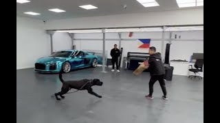 Mark Yiannimize of Filimize takes on LSS's Zeus - a highly trained Security K9 and Giant Schnauzer