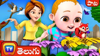 బేబీ టాకు ప్రపంచం  – తోటలో బేబీ పాట (Baby’s in the Garden song)– ChuChu TV Sing-along నర్సరీ పాటలు