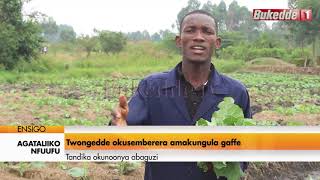 Agataliikonfuufu: Twongedde okusemberera amakungula gaffe.