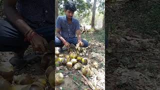 🌀🌀ரோஸ் நுங்கு சாப்பிடலாம் வாங்க#Youth Village Short Video#Rose ice Apple#viral#shortsvideo#trending#