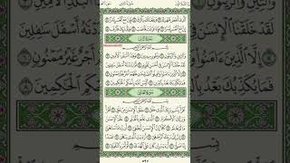 Surah At-tin beautiful recitation | wattini wazzaitun tilawat | wattini wazzaitun Qirat #quran#short