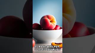 복숭아] 종류