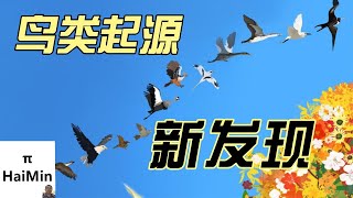 鸟类由恐龙灭绝后演化而来？｜鸟类演化｜鸟类与恐龙｜地球简史系列62｜海民大叔