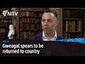 Gweagal spears to be returned to country | NULA | NITV