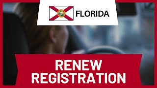 How to Renew Car Registration Online Florida (Guide)
