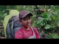 gunung leuser atap negeri aceh 3