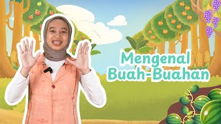 Yuk, Mengenal Buah-Buahan! | Belajar Buah untuk Anak | Video Edukasi Anak