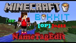 Minecraft Plugin Showcase: NameTagEdit - Super Useful!