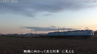 近江鉄道：長谷野－大学前　夜明けの光景　（’20.11/25）　　　　　　　巛巛