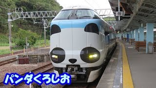 パンダくろしお♪ ～白浜駅でパンダくろしおを見ました！～ Panda Train♪