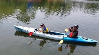 ハゼ釣りしてきた「新左近川親水公園」【子供と釣り】