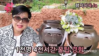 #1천명4천시간 #꿀팁경험 #현제2026명감사메시지 🍃🌱🌿⚘다육식물 Succulent 多肉植物