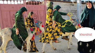 Donkey ride without a plan, without a mother and daughter village ride for two people