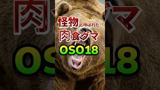 熊による獣害被害かなり多いです！この時期の山には近づかないでください⚠️🐻