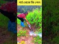 গর্ত থেকে কি পেলো 😱😱 jesus facts shortvideo foryou shortvideo viralshort everyone ytshorts