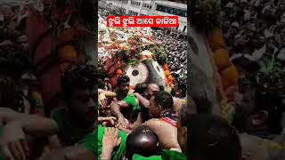 ଝୁଲି ଝୁଲି ଆସେ କାଳିଆ #shortvideo #shortsfeed #shortfeed #shorts #shorts #shortsvideo #RathaYatra