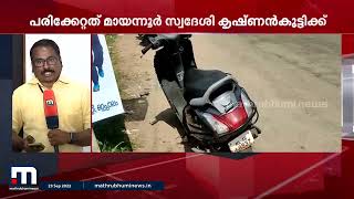 നായ കുറുകെ ചാടി സ്കൂട്ടർ യാത്രക്കാരന് പരിക്ക് | Mathrubhumi News