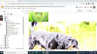 Basic Image Processing by Sharpening images, Detecting Edges, Detecting Contours with cv2 and numpy