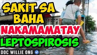 Sakit sa Baha: Nakamamatay ang Leptospirosis- Payo ni Doc Willie Ong