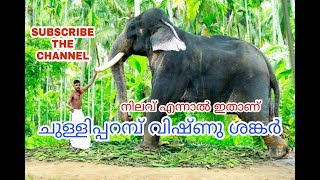 Chulliparamban mass nilav,  vishnusankar elephant training kerala biggest elephant villan