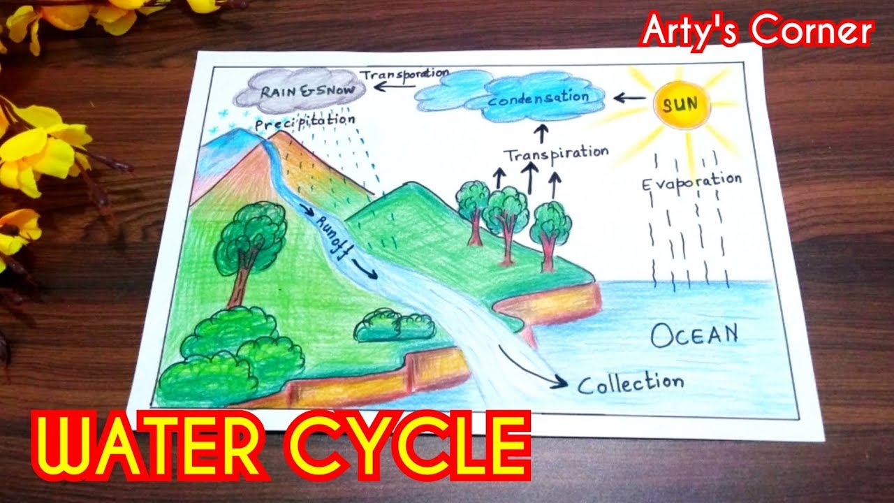 How To Draw Water Cycle Step By Step | Easy Water Cycle Drawing For ...