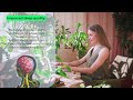 7 health benefits of areca palm highest oxygen producing indoor plants leaf town