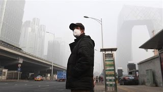 Can Giving Up Coal Detoxify the Beijing Sky?