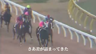 第4回ジャパンカップ　カツラギエース