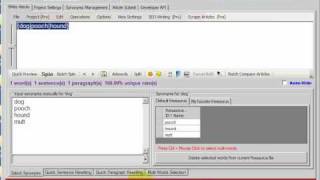 SpinnerChief Tutorial - Thesaurus Creation