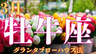 【牡牛座】時が来た！ 3月の牡牛座♉️さん。勇気を出して今こそ最初の一歩を踏み出そう！！【ルノルマンカード占い】【星座占い】【仕事運】【金運】【健康運】【恋愛運】【総合運】