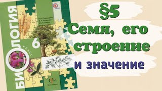 Краткий пересказ §5 Семя, его строение и значение. Биология 6 класс Пономарева