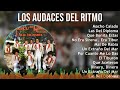 Los Audaces Del Ritmo 2024 MIX Grandes Exitos - Macho Calado, Las Del Diploma, Que Bonita Estas,...