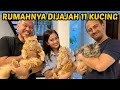 WOW! RUMAH ERSA MAYORI DIJAJAH 11 KUCING