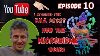 How the Microbiome works