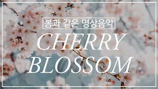 봄과 같은 명상 🌸 Cherry Blossom