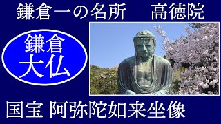 鎌倉大仏【鎌倉の旅おすすめ】高徳院・阿弥陀如来坐像　鎌倉唯一の国宝仏像　Historic JAPAN