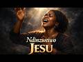 Ndinzweiwo Jesu 🙏 Hear Me Lord Jesus - Powerful Shona Worship (Emotional Gospel Song)