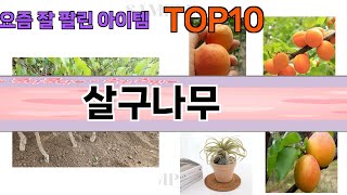 가장 많이 팔린 살구나무 추천 Top10!