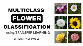 Multiclass Flower Classification using Transfer Learning | EfficientNet Model