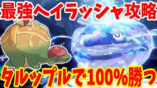 【ポケモンSV】最強ヘイラッシャ攻略！誰でも超簡単に100%勝つ方法まとめ！【ポケモンスカーレットバイオレット・ゼロの秘宝】