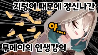 무메이 강의를 듣고 성공할 수 있었어요!!! (나만 죽을 수 없지~)