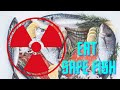 Is Your Fish Safe to Eat in 2023? Japan's Radioactive Water Release!