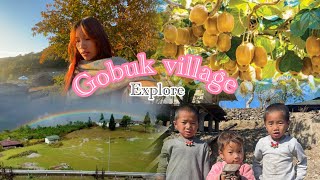 Exploring gobuk village || village life || kiwi garden || orang garden